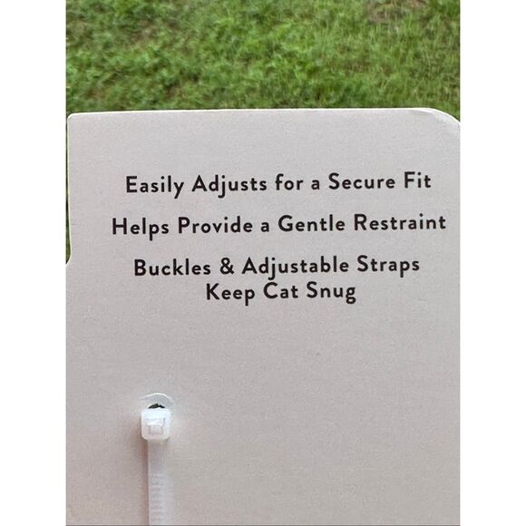 Thrills & Chills Reflective Halloween Kitten Harness and Leash Set with Pumpkin - Picture 4 of 9